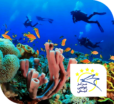 مرکز غواصی و تفریحات دریایی کیش